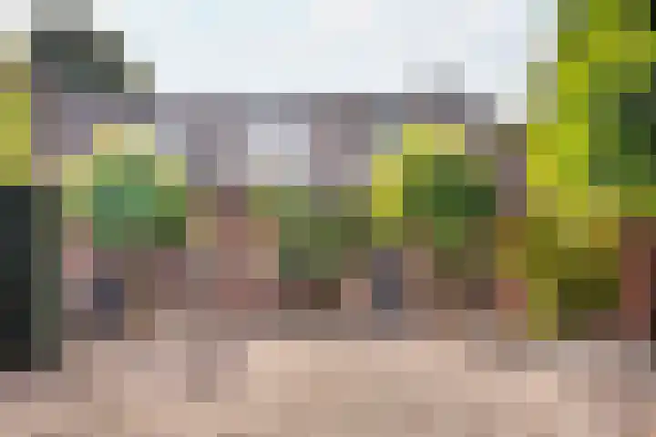 Verlengde Heistraat 5 Sambeek thumbnail 5