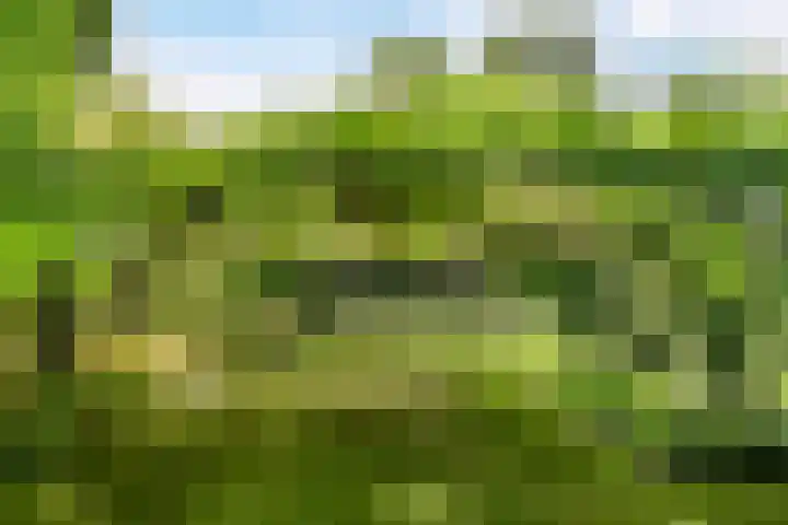 Verlengde Heistraat 5 Sambeek thumbnail 50