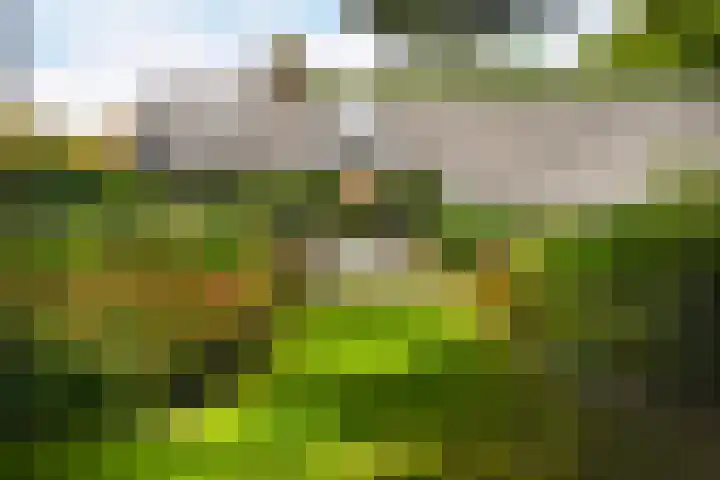 Verlengde Heistraat 5 Sambeek thumbnail 51