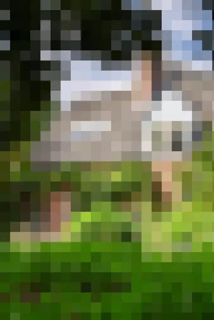Verlengde Heistraat 5 Sambeek thumbnail 57