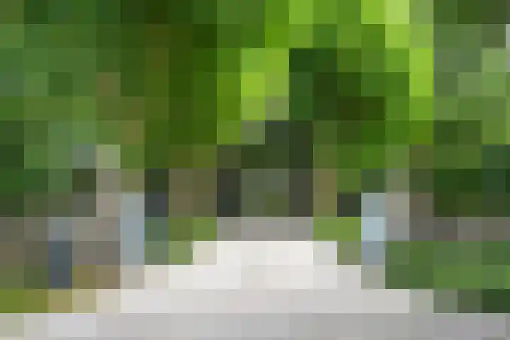 Verlengde Heistraat 5 Sambeek thumbnail 6