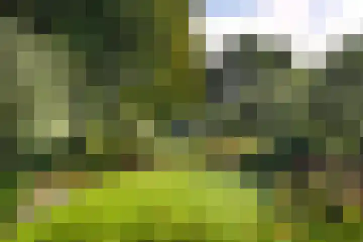 Verlengde Heistraat 5 Sambeek thumbnail 61