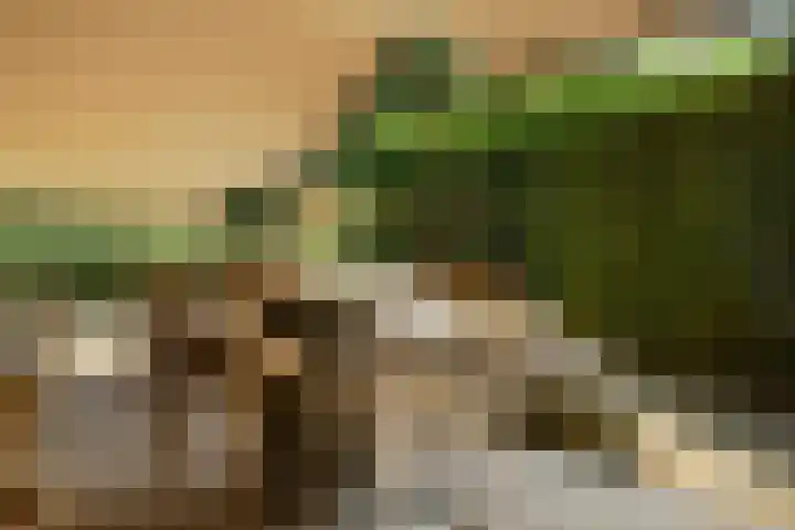 Verlengde Heistraat 5 Sambeek thumbnail 64