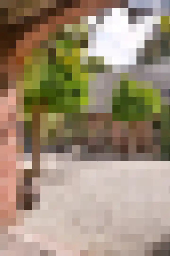 Verlengde Heistraat 5 Sambeek thumbnail 68