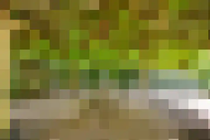 Verlengde Heistraat 5 Sambeek thumbnail 69