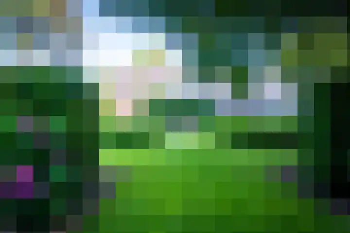 Verlengde Heistraat 5 Sambeek thumbnail 72
