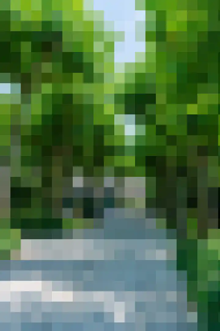 Verlengde Heistraat 5 Sambeek thumbnail 8