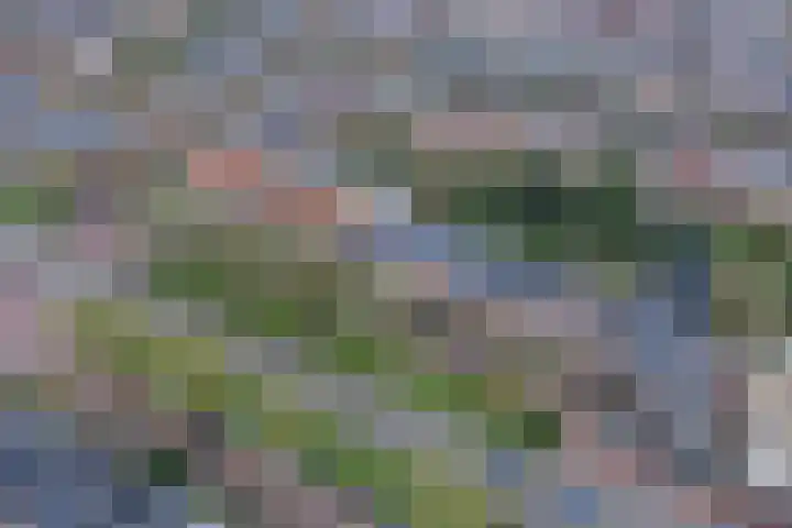 Verlengde Hereweg 133 a Groningen thumbnail 48