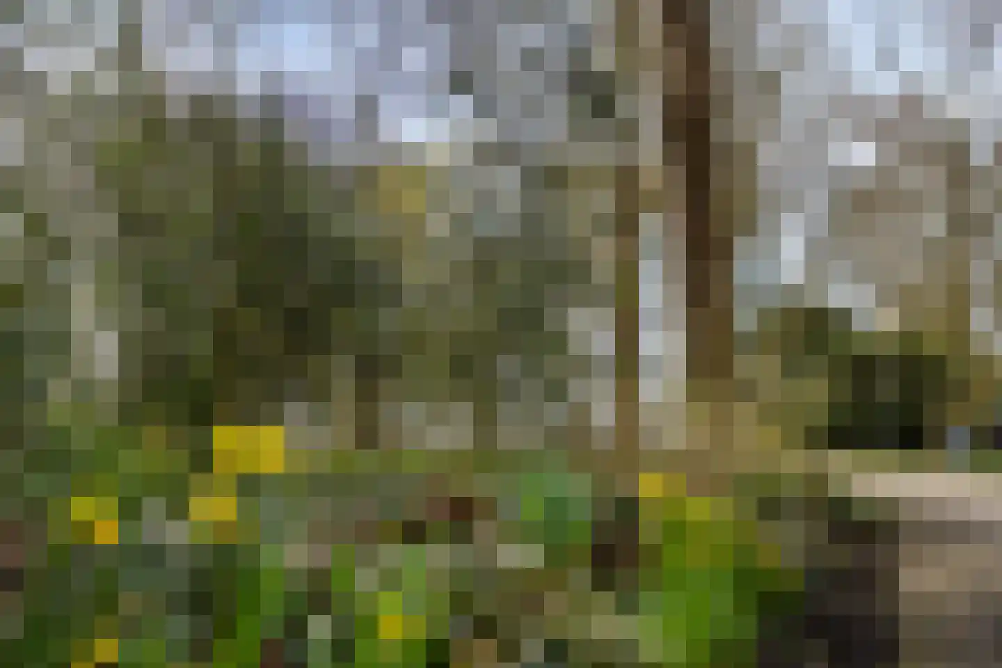 Verlengde Hereweg 189 10 Groningen thumbnail 53