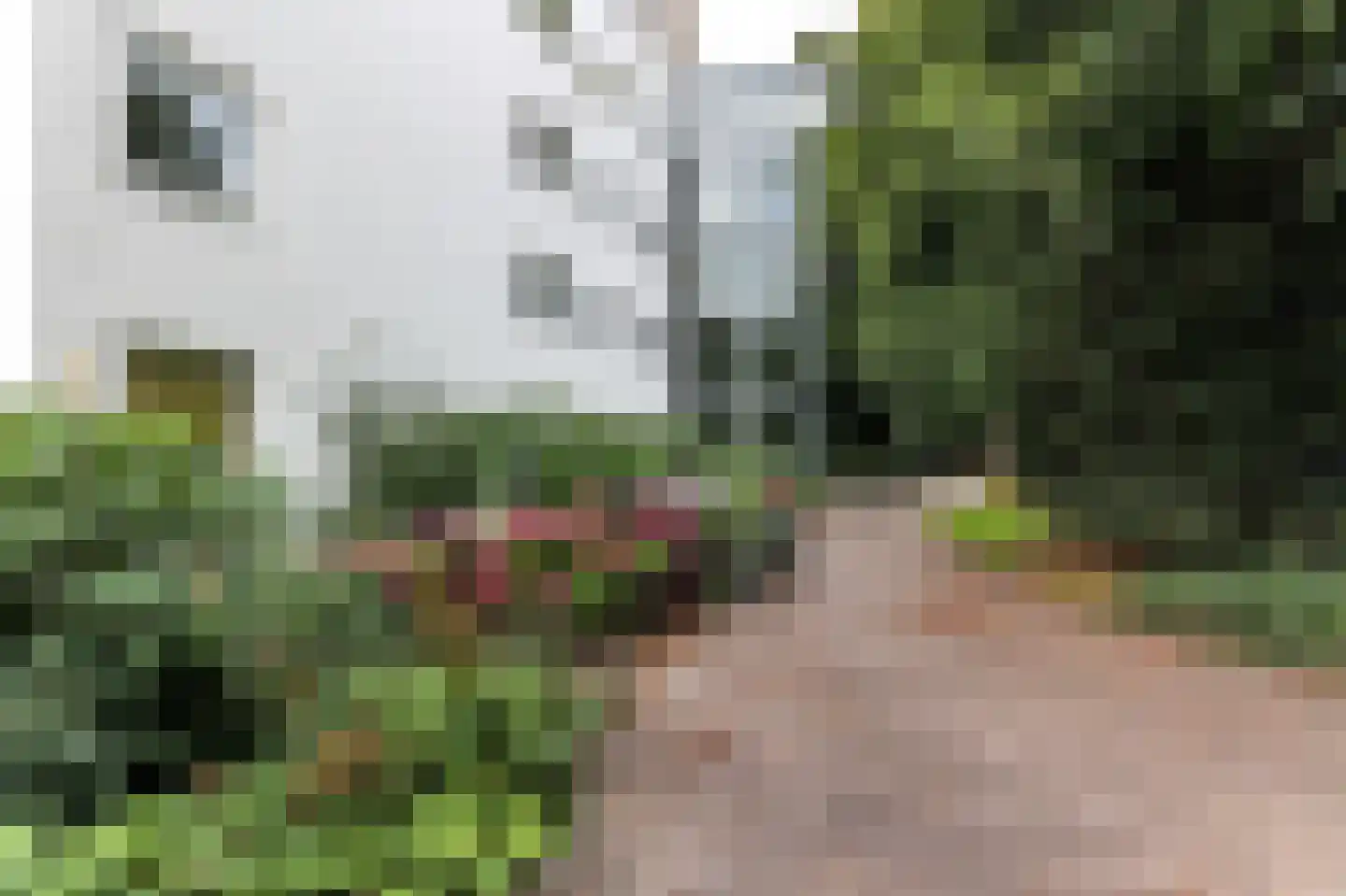 Verlengde Hereweg 189 6 Groningen thumbnail 7