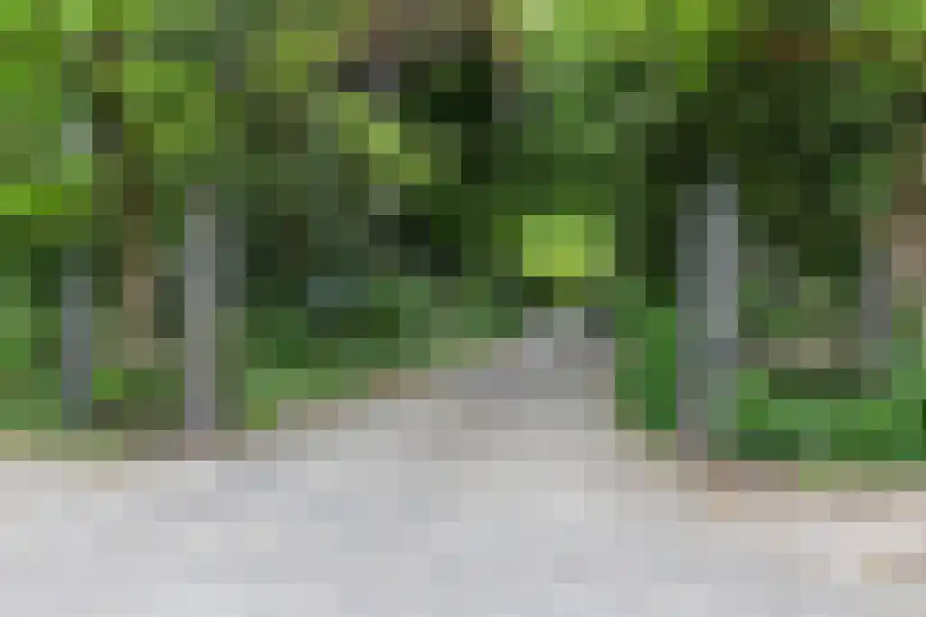 Verlengde Hereweg 189 7 Groningen thumbnail 12