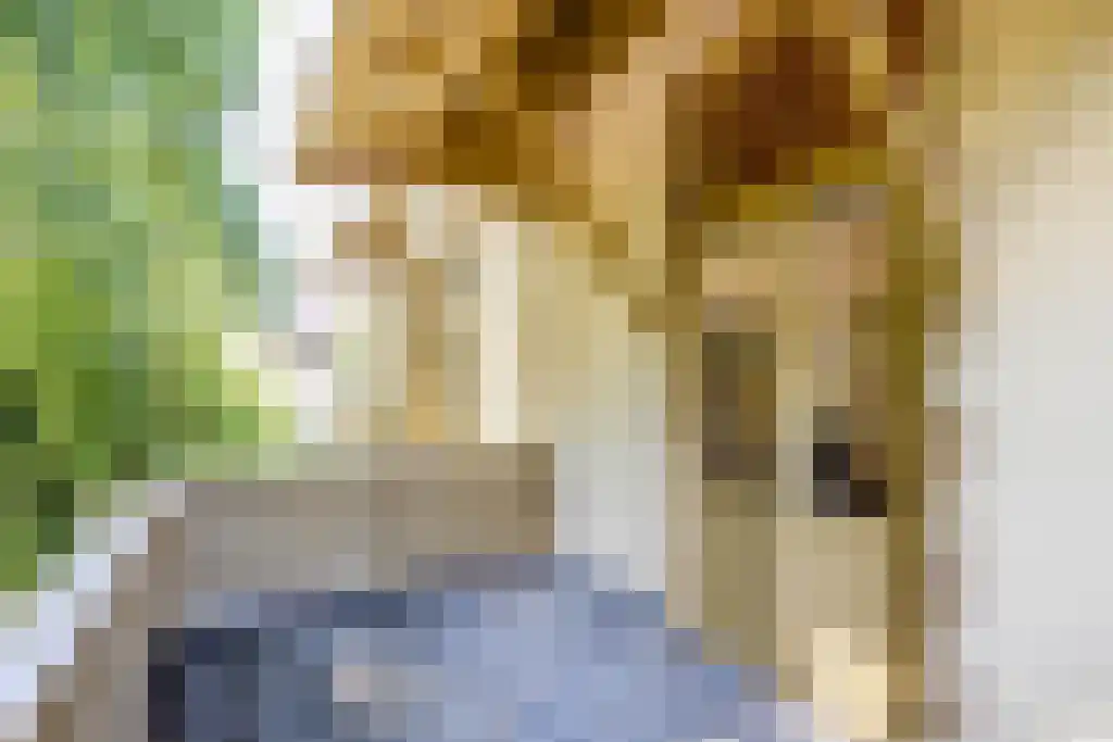 Verlengde Hereweg 192 Groningen thumbnail 36