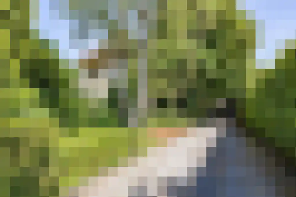 Verlengde Hereweg 192 Groningen thumbnail 41