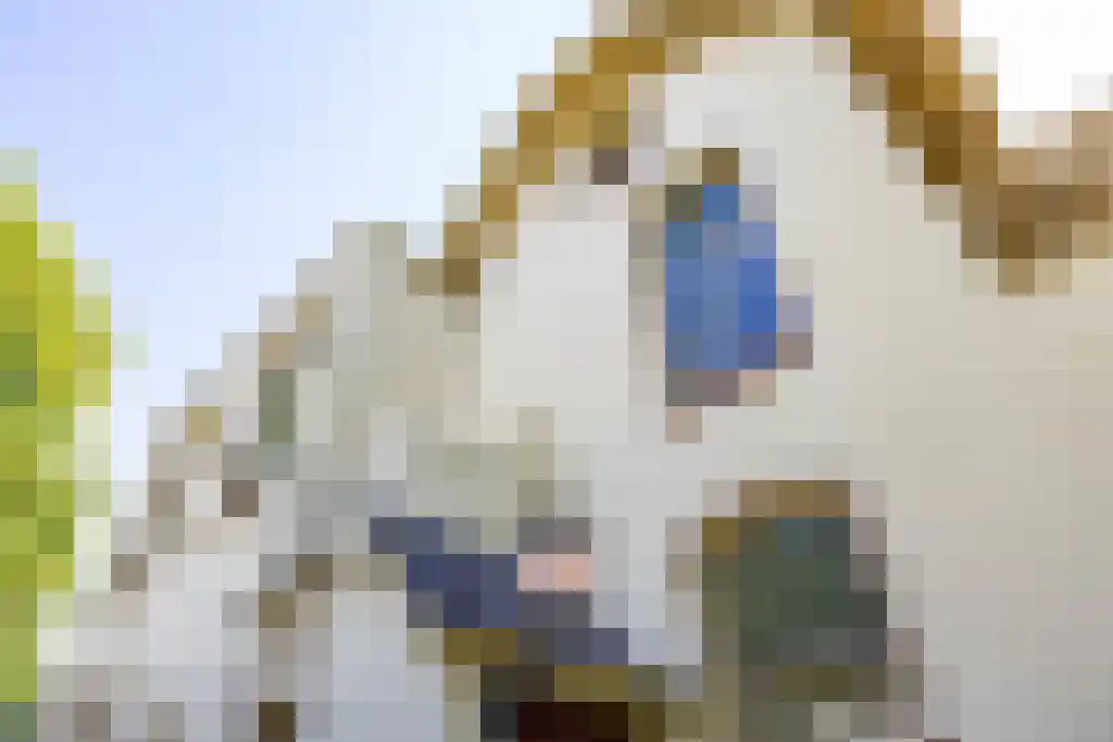 Verlengde Hereweg 192 Groningen thumbnail 6