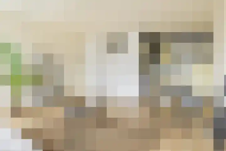 Verlengde Hereweg 2 d Groningen thumbnail 16