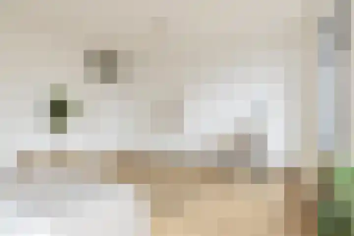 Verlengde Hereweg 2 d Groningen thumbnail 21