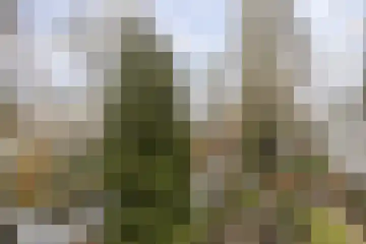 Verlengde Hereweg 2 d Groningen thumbnail 24
