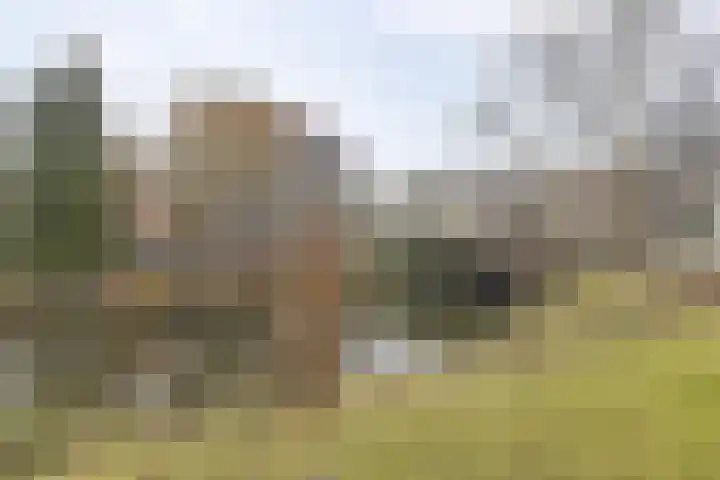 Verlengde Hereweg 2 d Groningen thumbnail 29