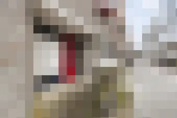 Verlengde Hereweg 2 d Groningen thumbnail 8