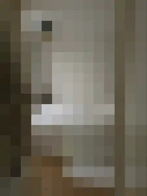 Verlengde Hereweg 20 Groningen thumbnail 6