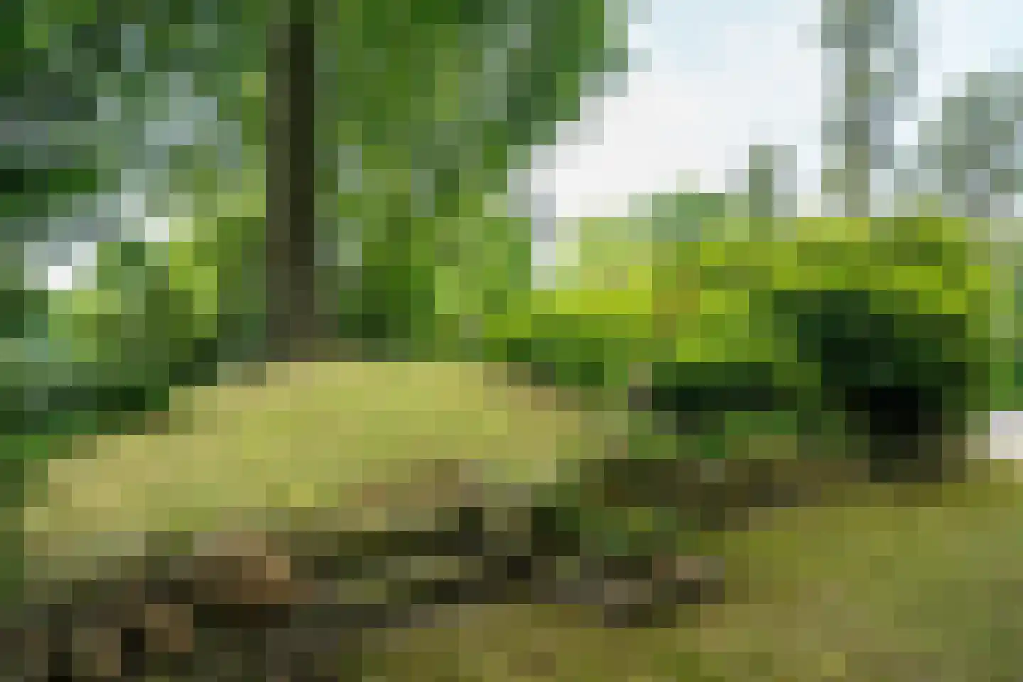 Verlengde Hereweg 210 Groningen thumbnail 100