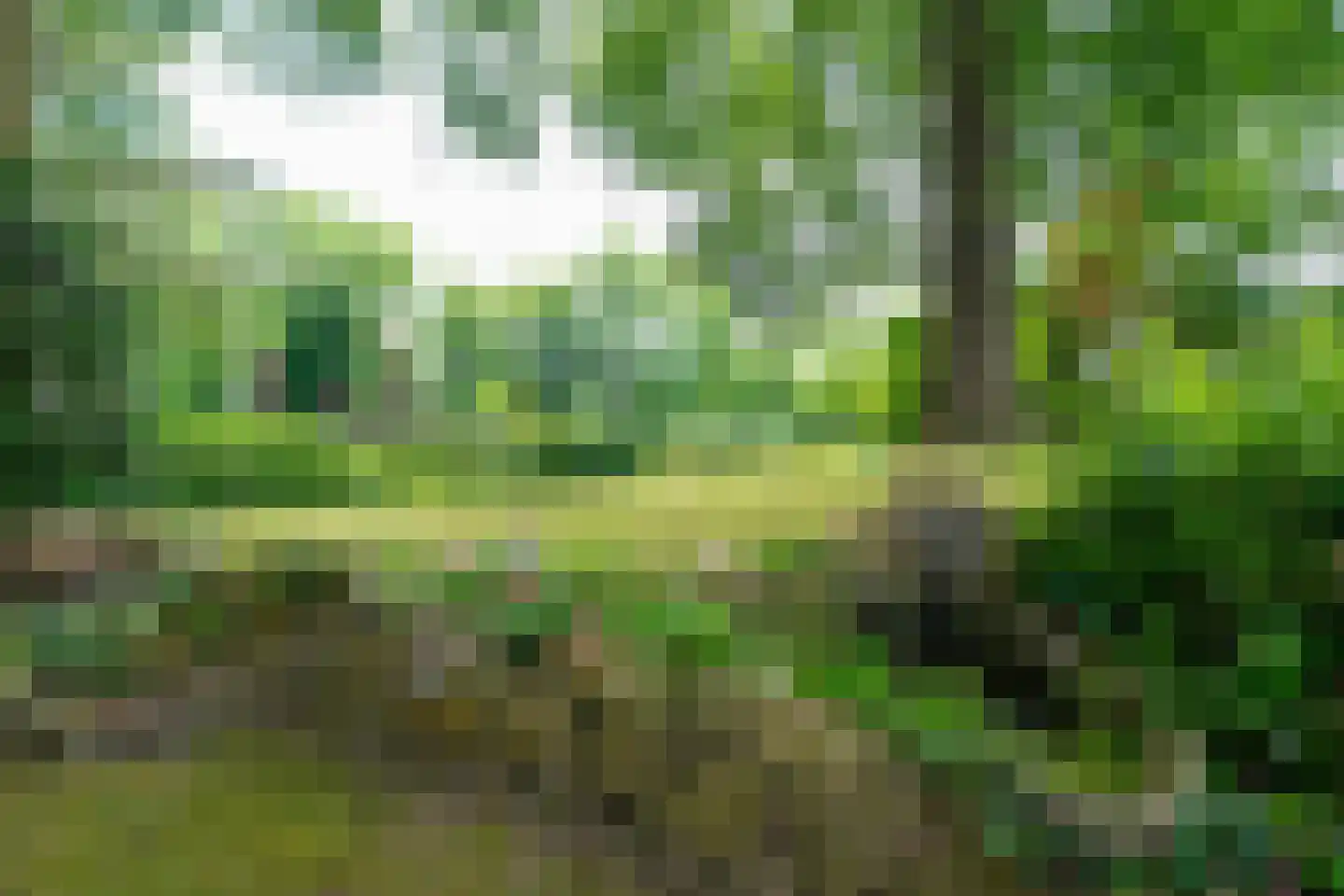 Verlengde Hereweg 210 Groningen thumbnail 101