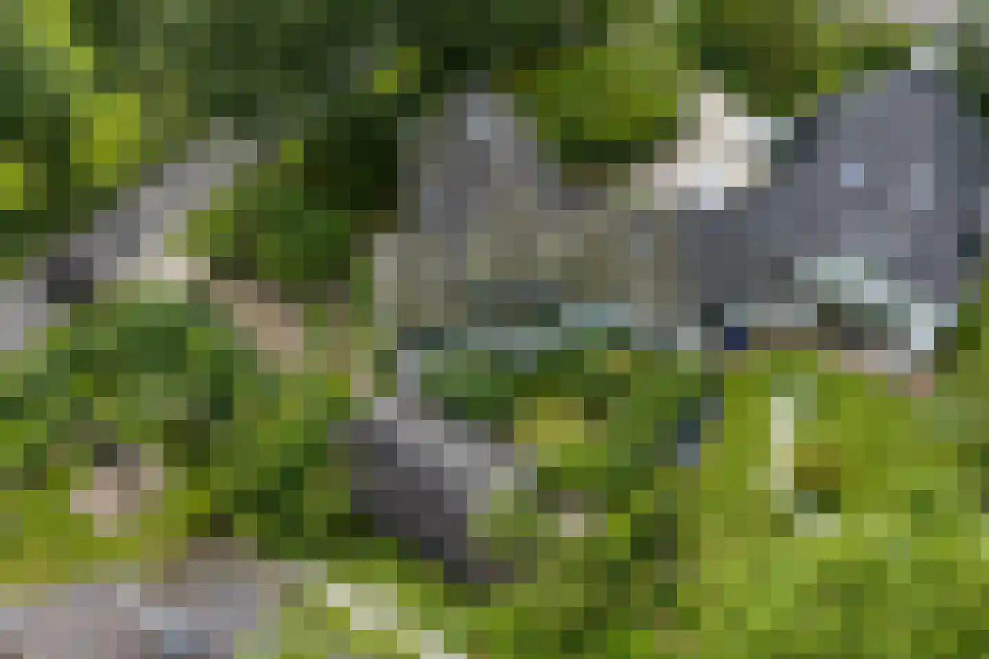 Verlengde Hereweg 210 Groningen thumbnail 103