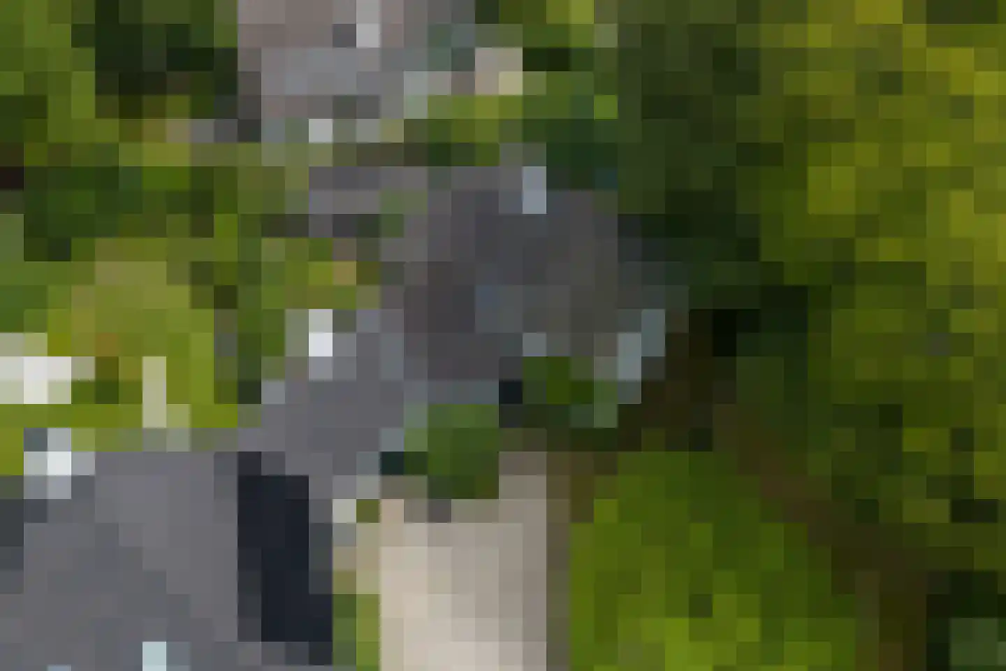 Verlengde Hereweg 210 Groningen thumbnail 104