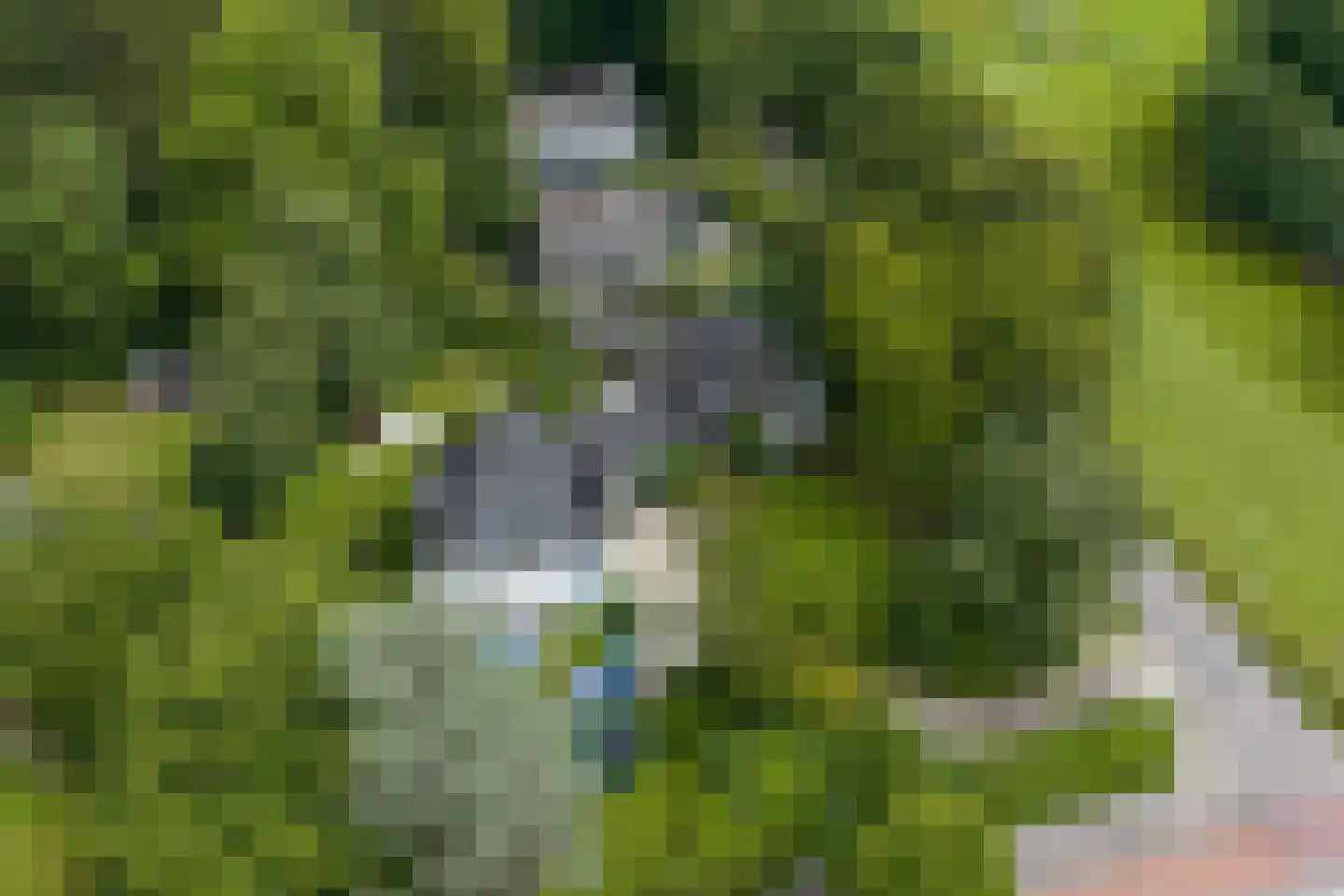 Verlengde Hereweg 210 Groningen thumbnail 106
