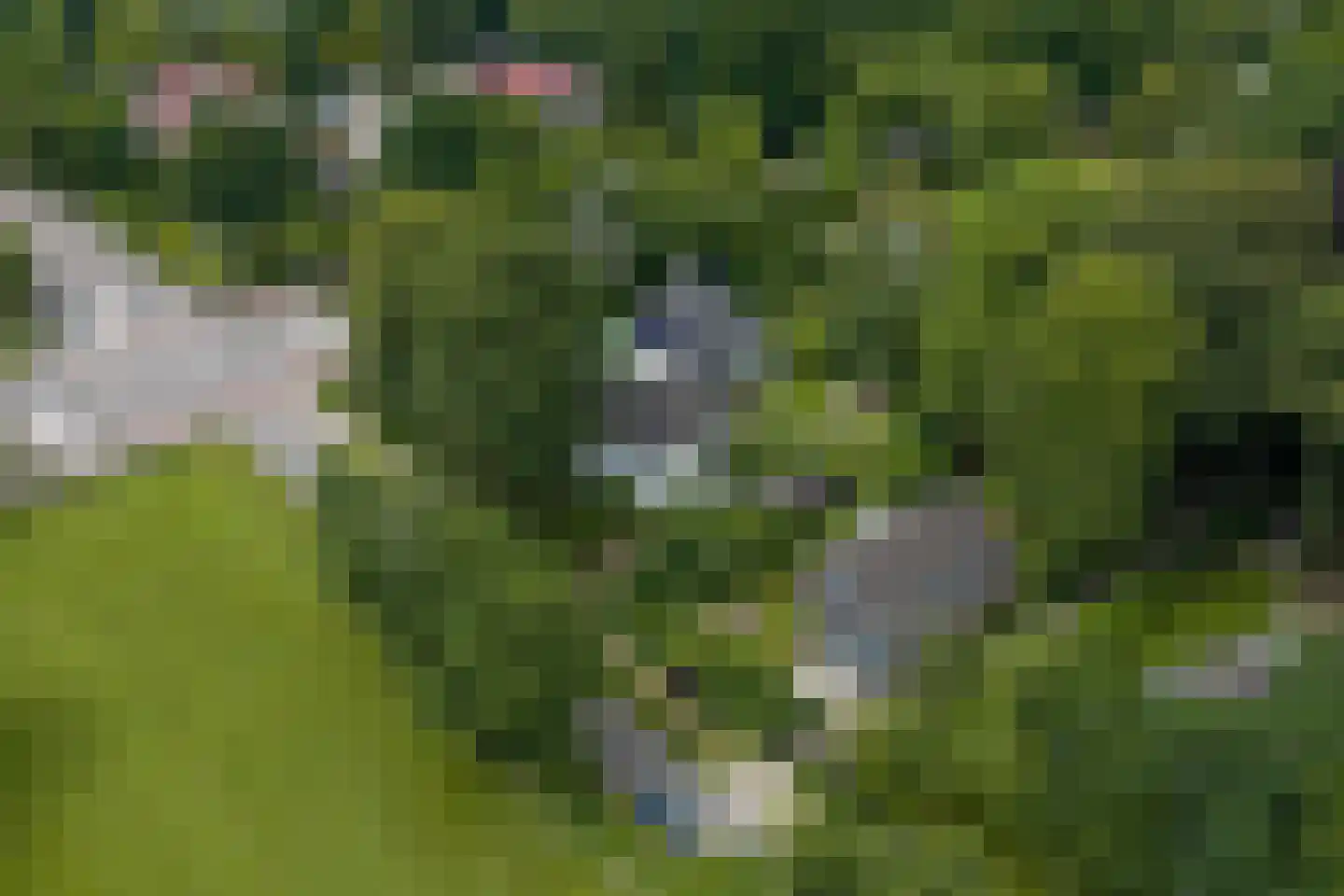 Verlengde Hereweg 210 Groningen thumbnail 107