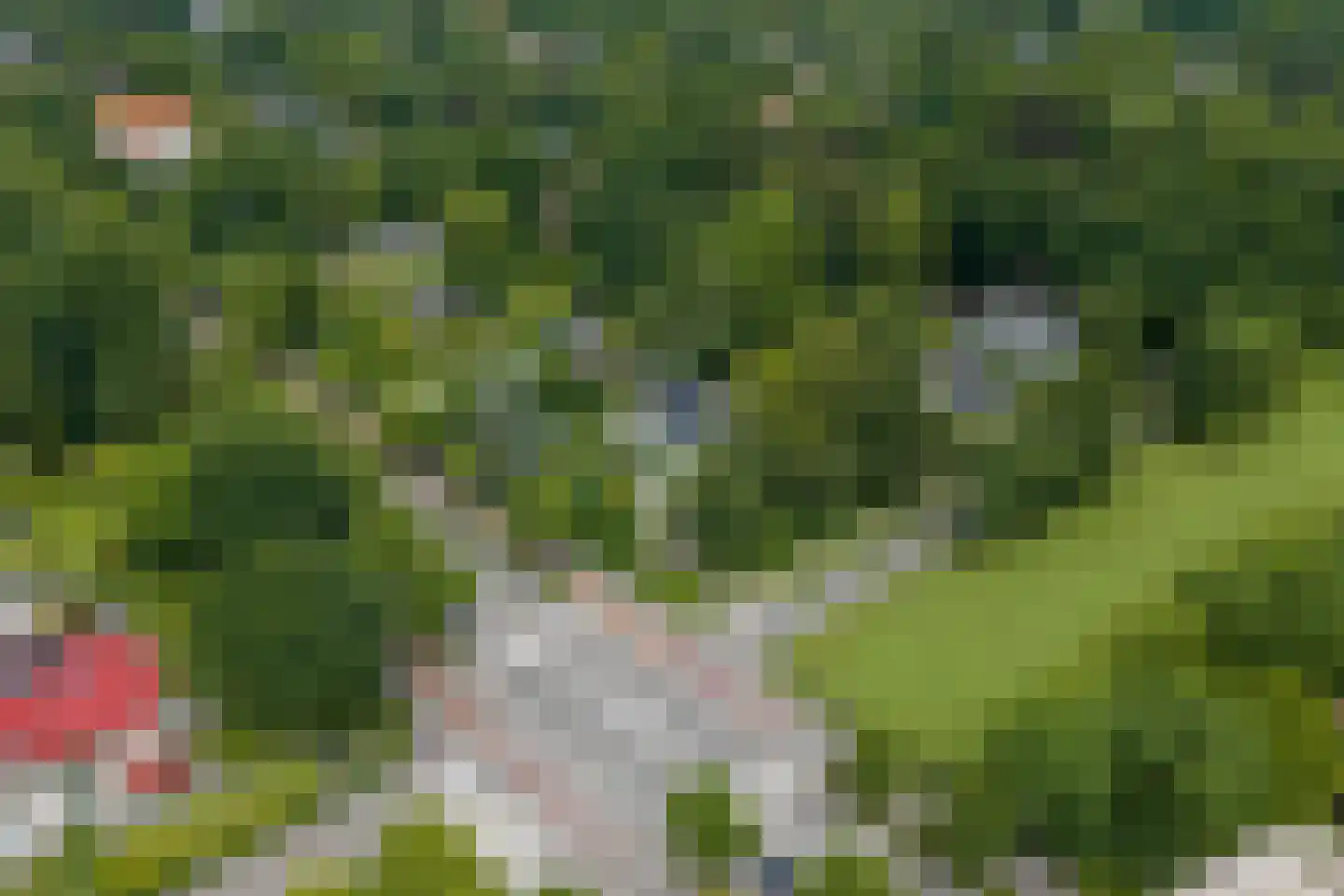 Verlengde Hereweg 210 Groningen thumbnail 108
