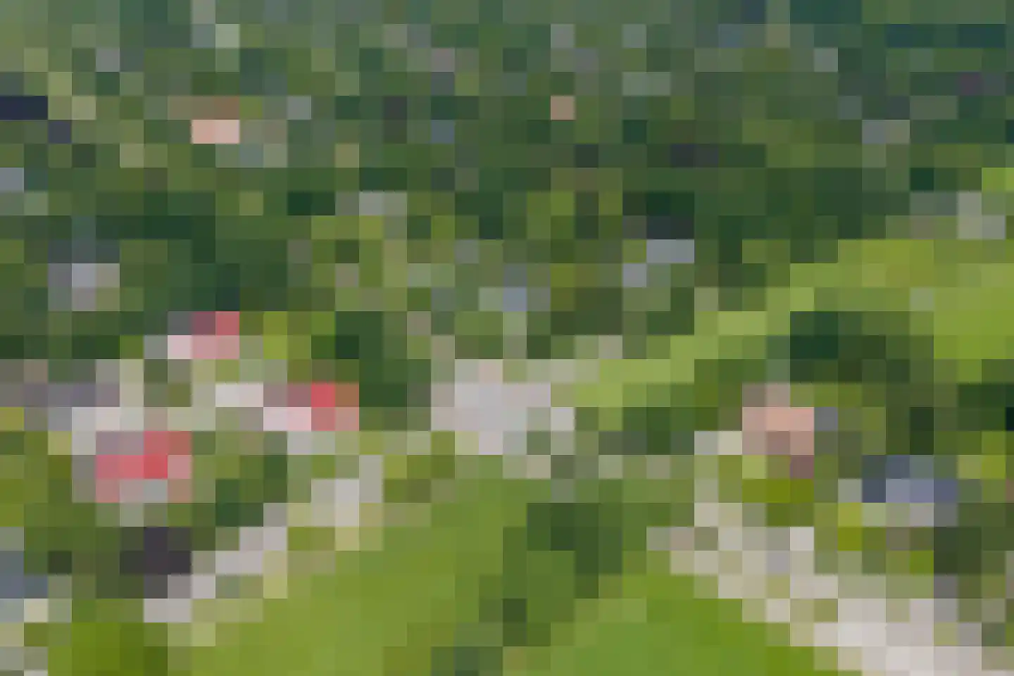 Verlengde Hereweg 210 Groningen thumbnail 109