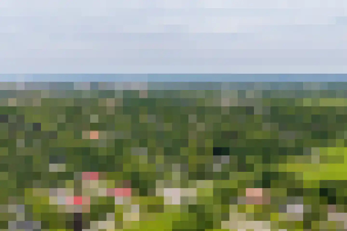 Verlengde Hereweg 210 Groningen thumbnail 110