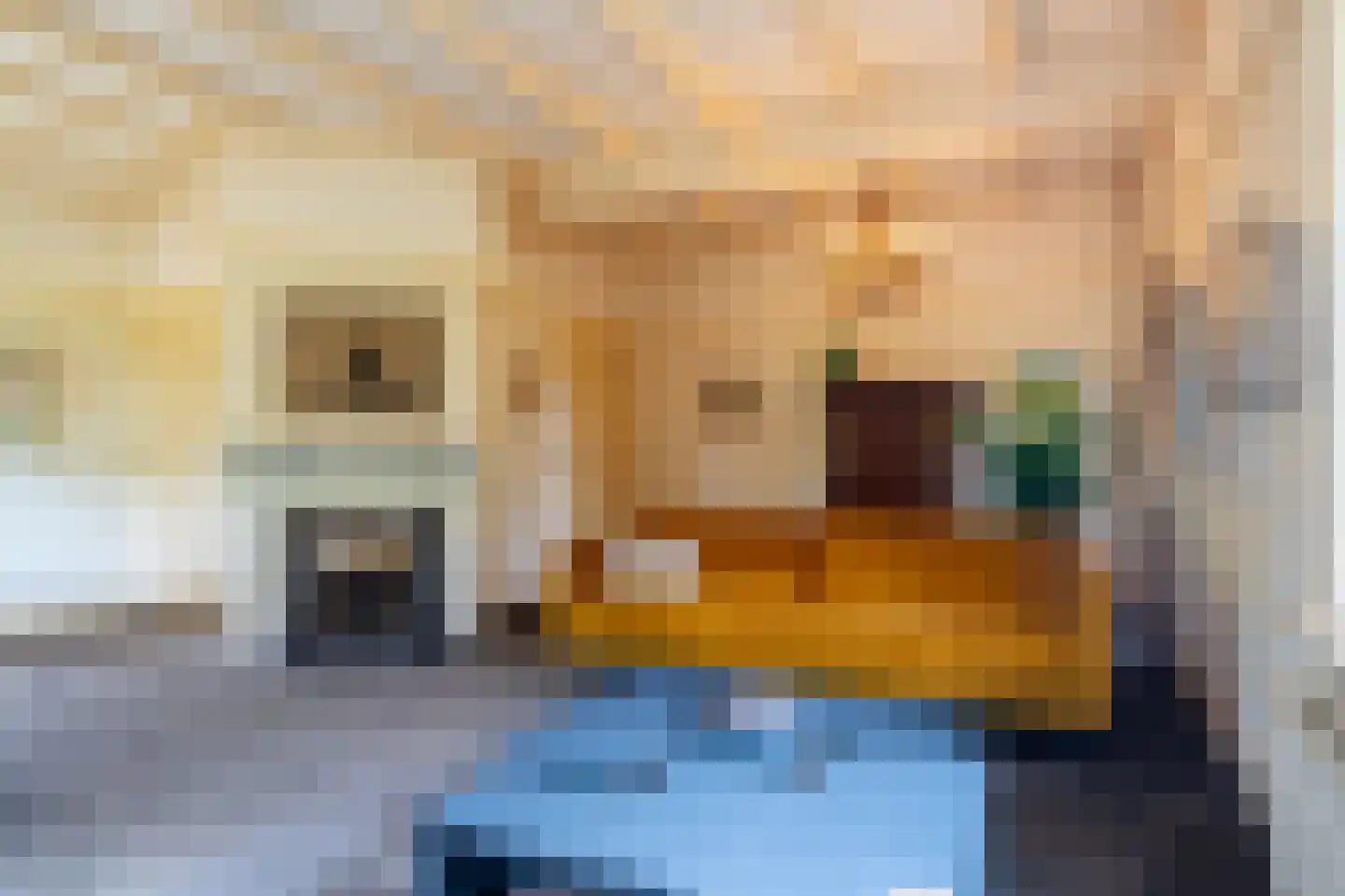 Verlengde Hereweg 210 Groningen thumbnail 22