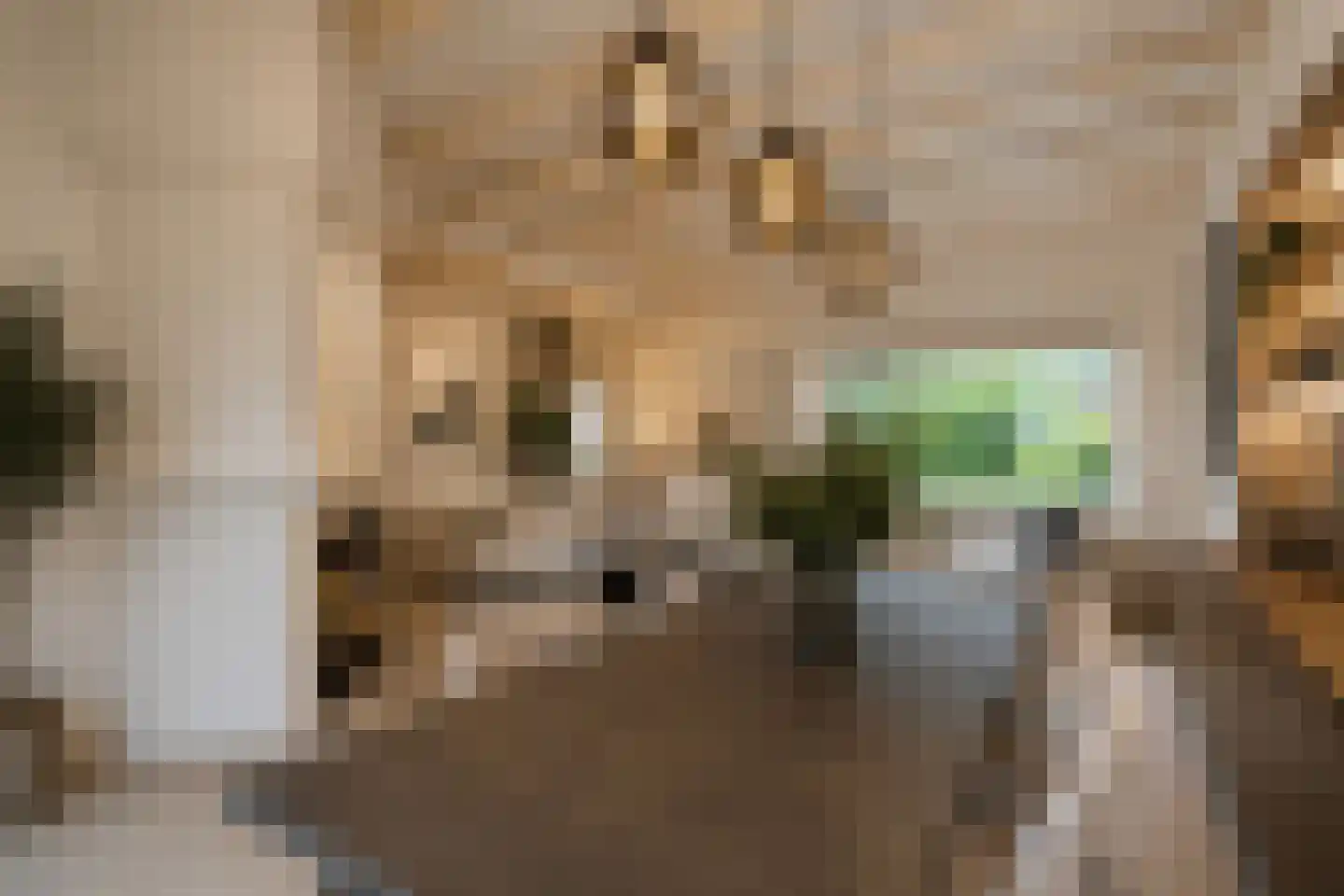 Verlengde Hereweg 210 Groningen thumbnail 28
