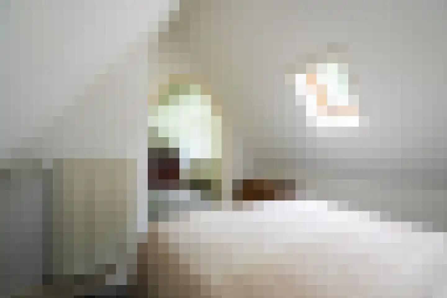 Verlengde Hereweg 210 Groningen thumbnail 69
