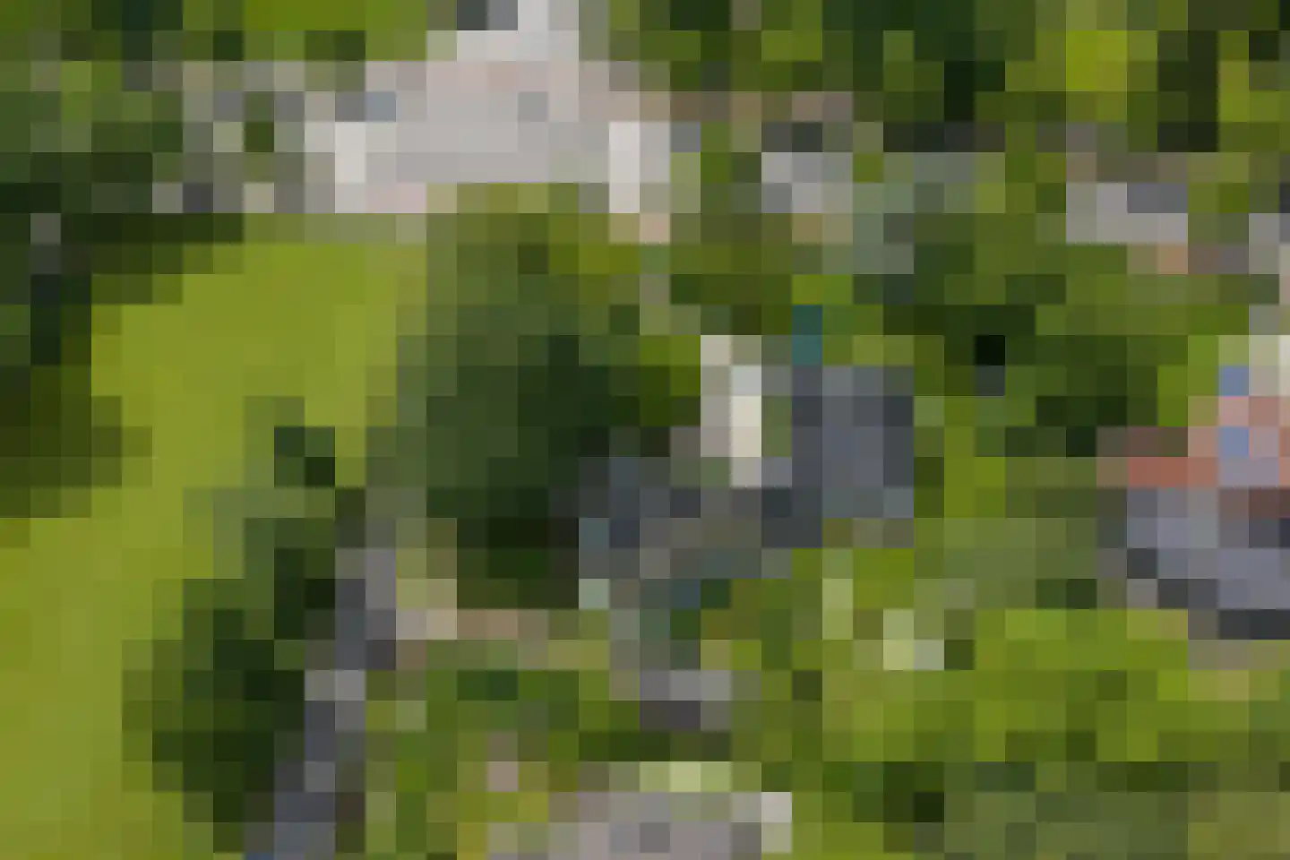 Verlengde Hereweg 210 Groningen thumbnail 8