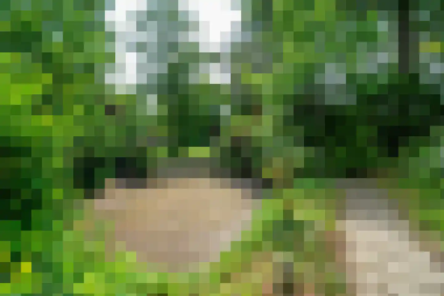 Verlengde Hereweg 210 Groningen thumbnail 82