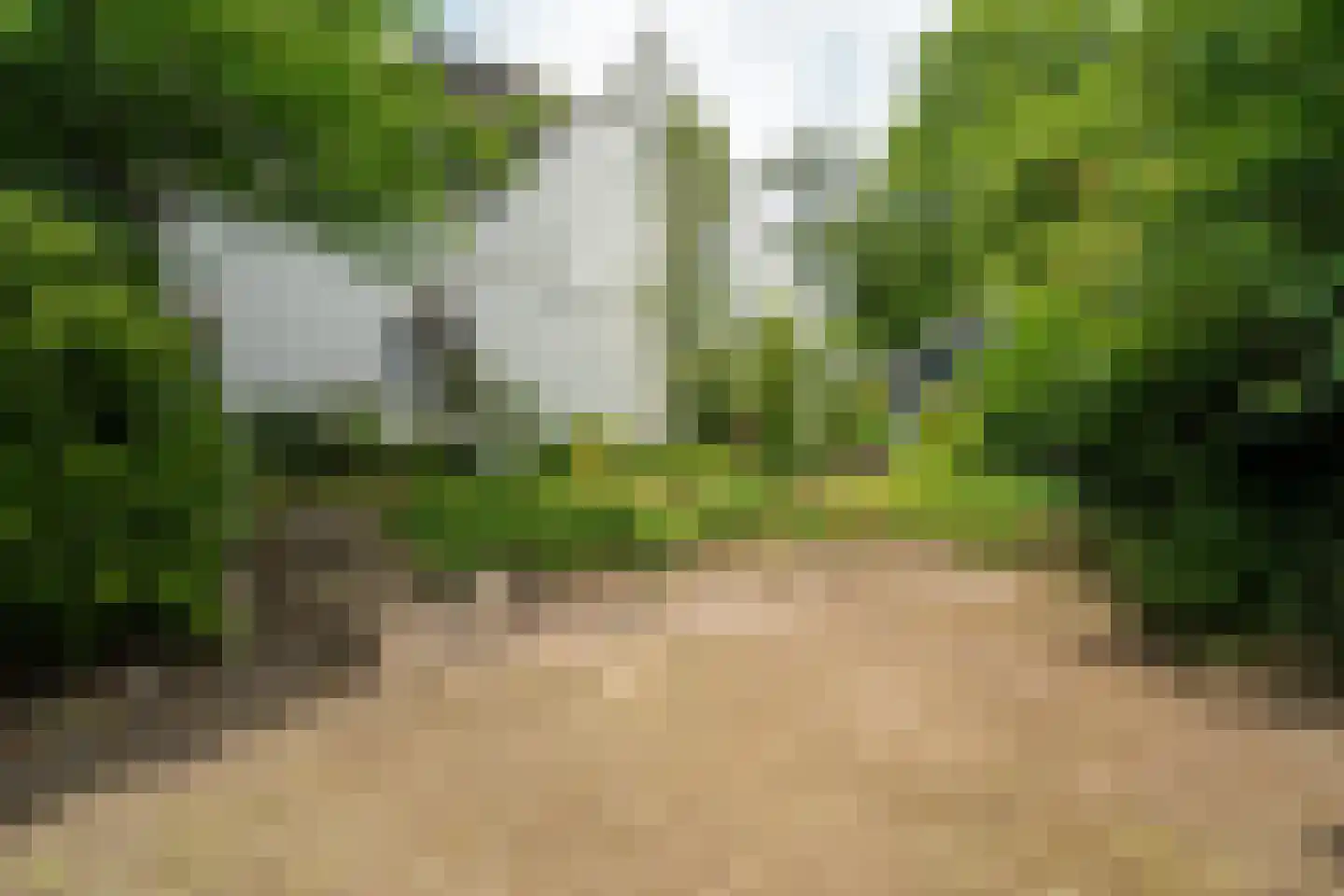 Verlengde Hereweg 210 Groningen thumbnail 83