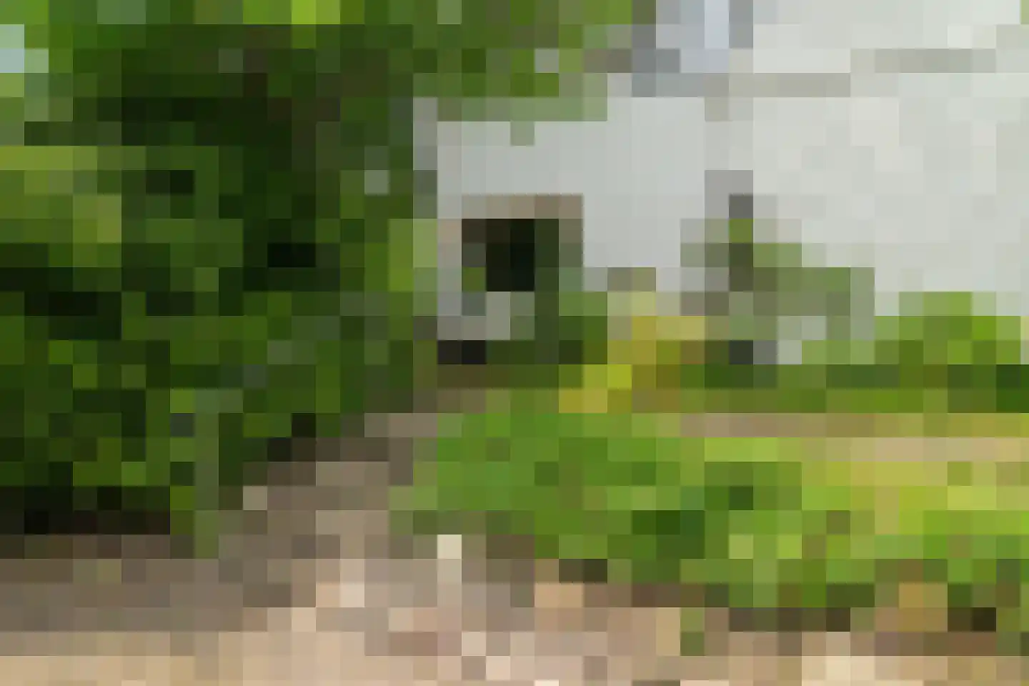 Verlengde Hereweg 210 Groningen thumbnail 84