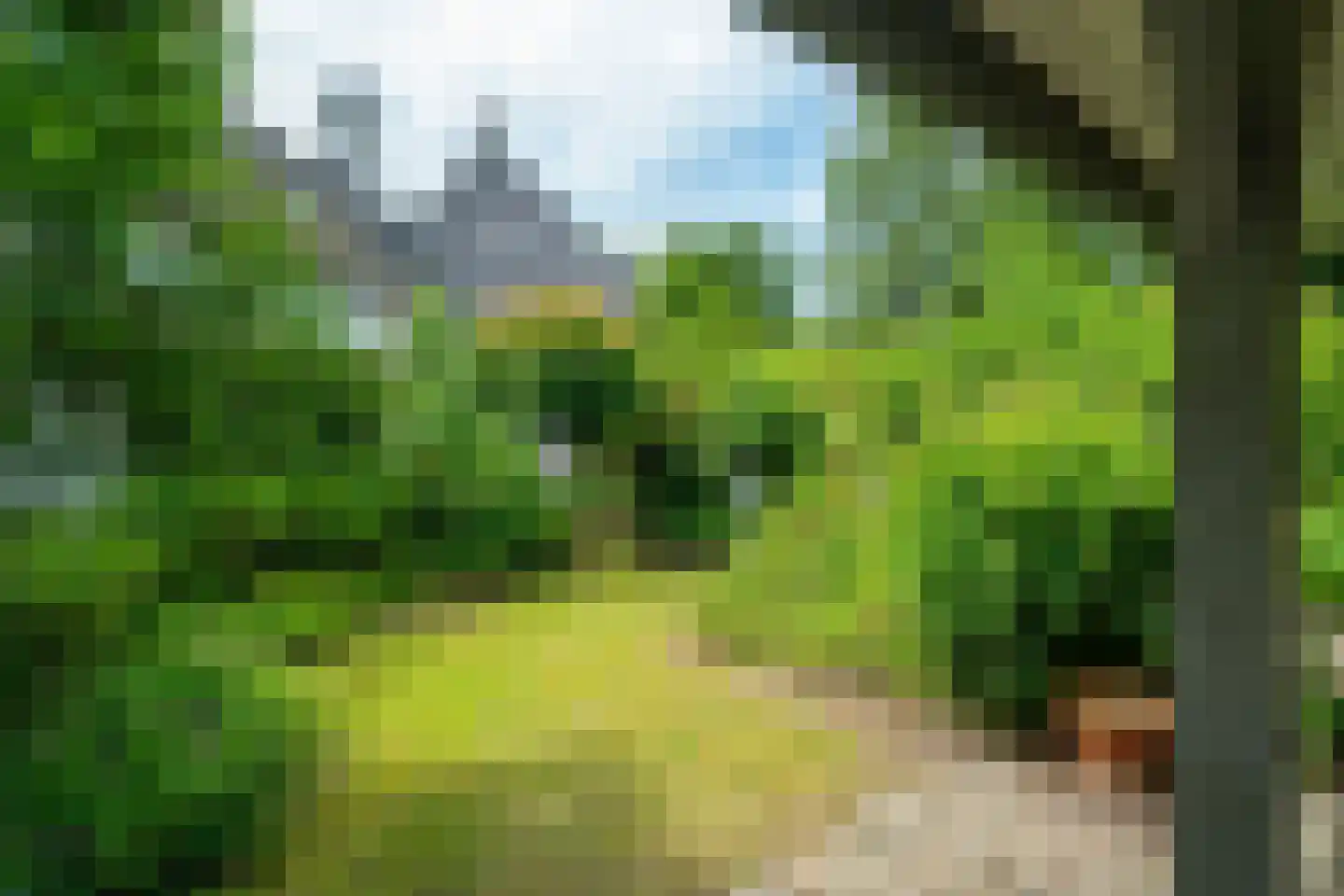 Verlengde Hereweg 210 Groningen thumbnail 90