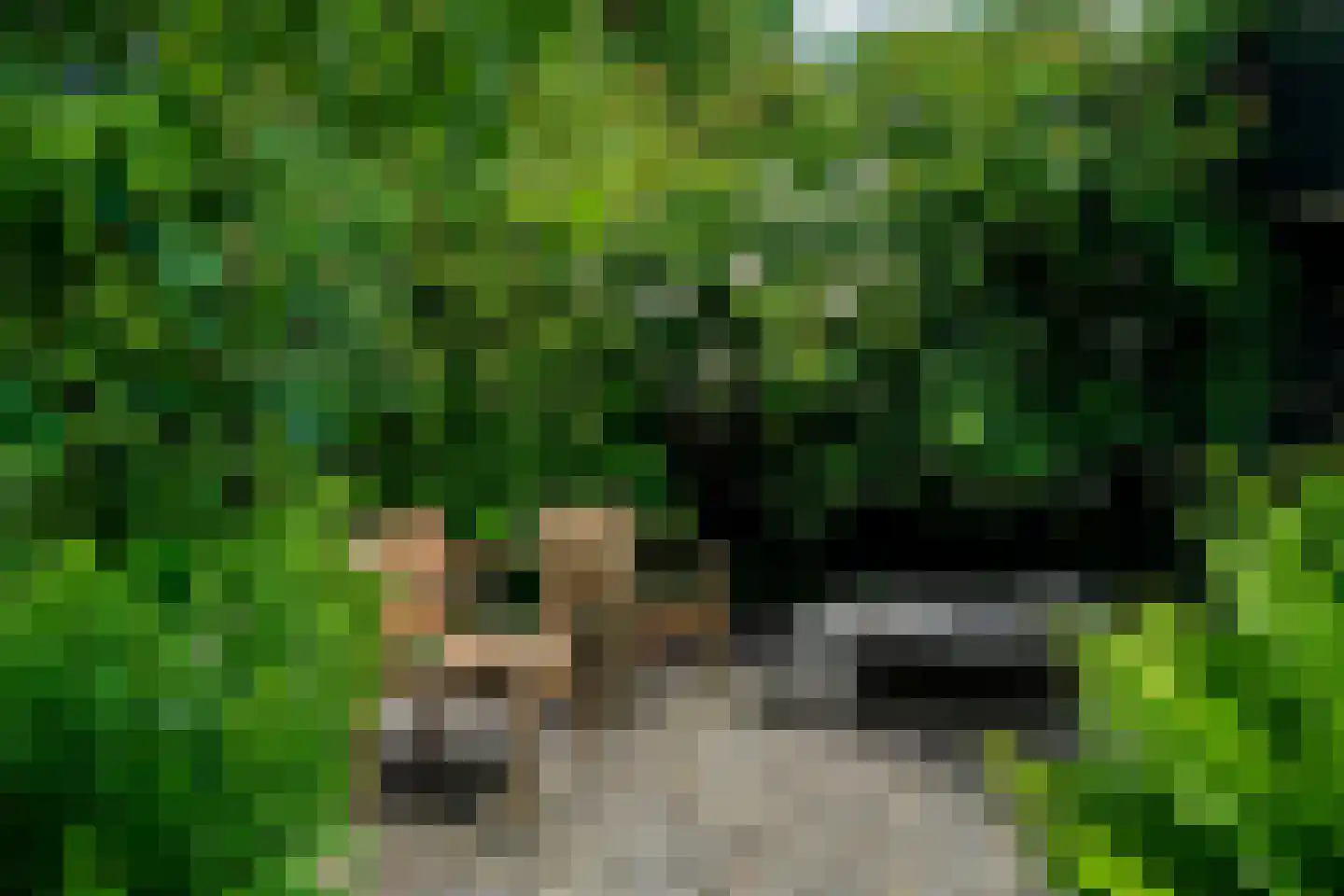 Verlengde Hereweg 210 Groningen thumbnail 92