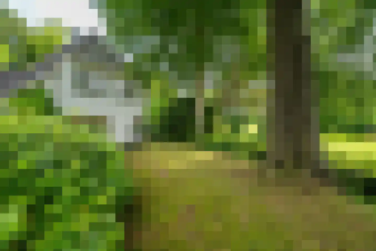 Verlengde Hereweg 210 Groningen thumbnail 96