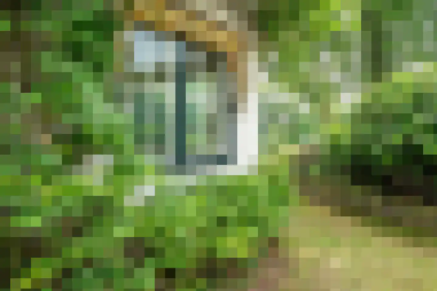 Verlengde Hereweg 210 Groningen thumbnail 99