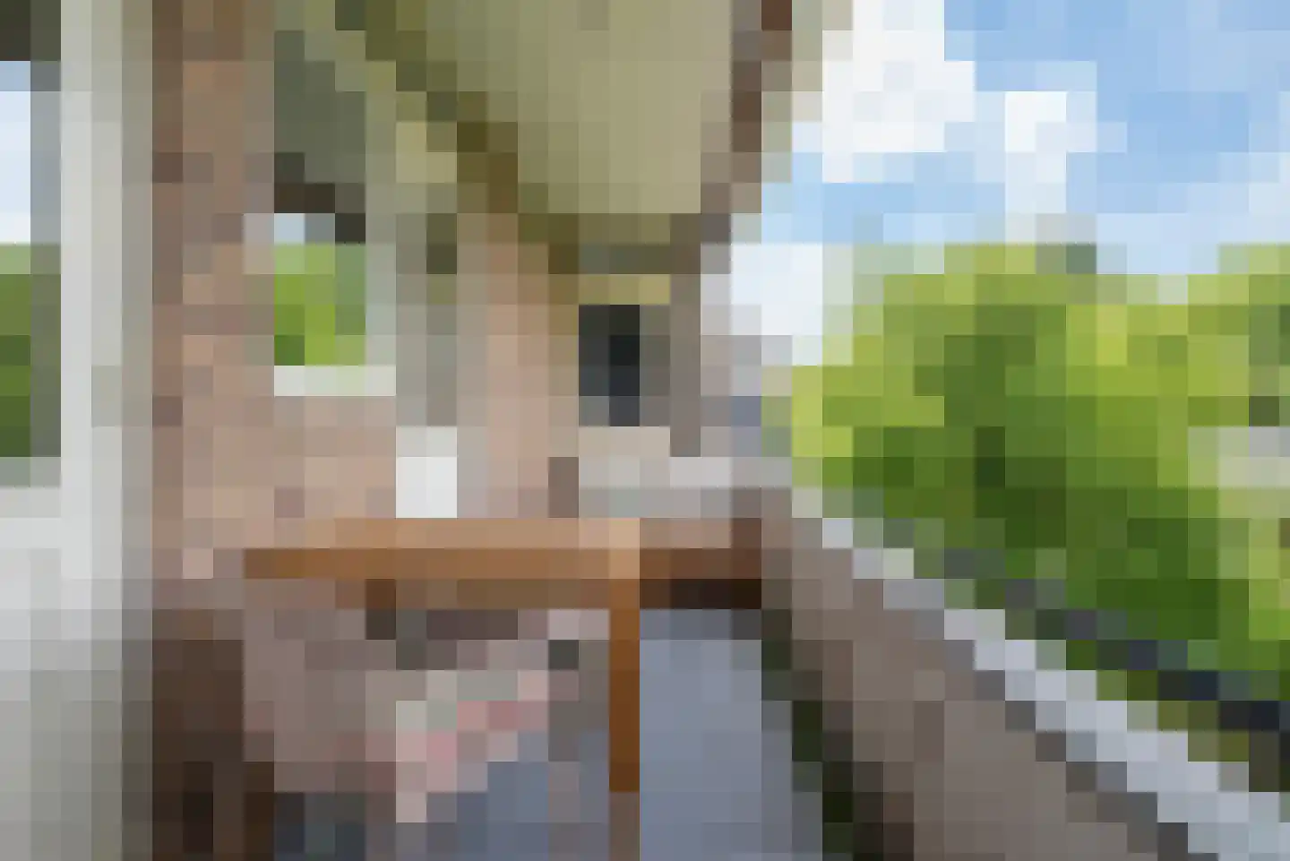 Verlengde Hereweg 27 b Groningen thumbnail 32