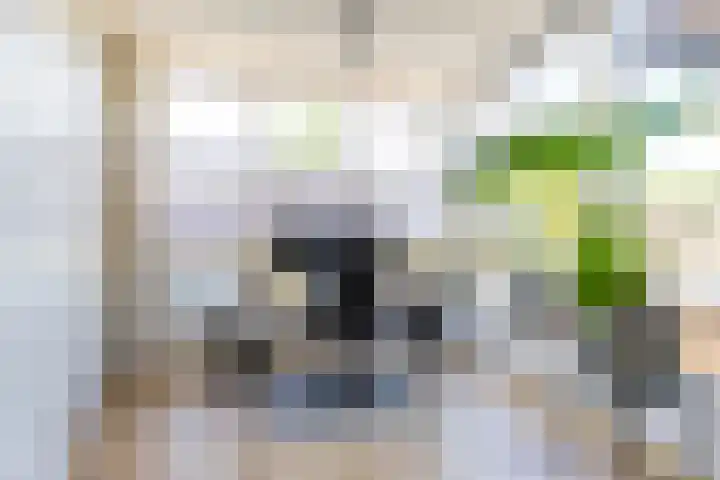 Verlengde Hereweg 7 a Groningen thumbnail 34