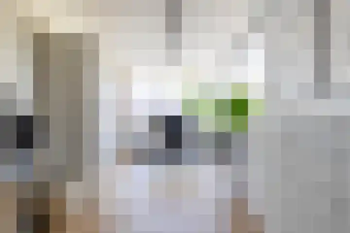 Verlengde Hereweg 7 a Groningen thumbnail 35