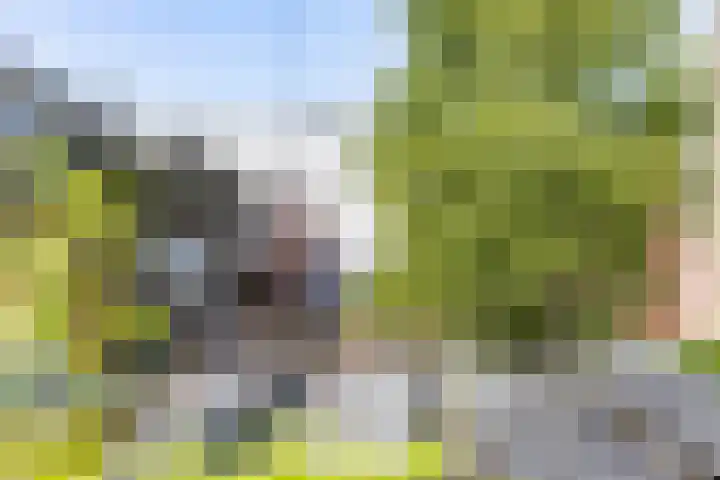 Verlengde Hereweg 7 a Groningen thumbnail 48
