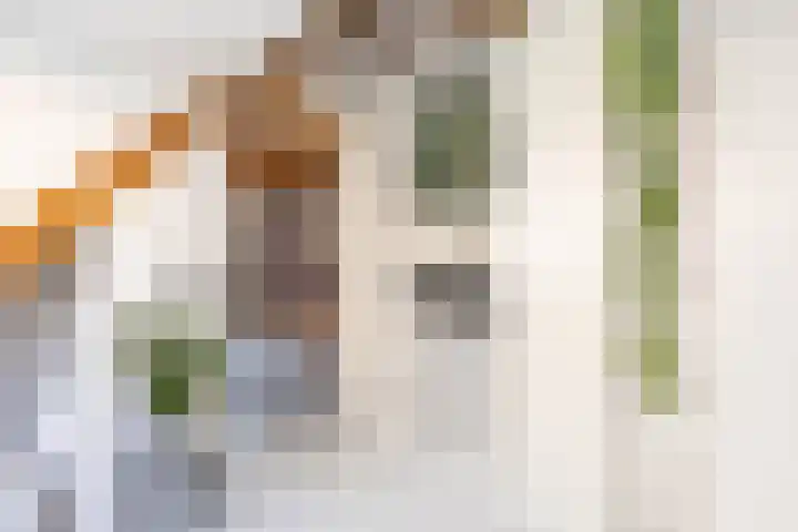 Verlengde Hereweg 7 a Groningen thumbnail 52