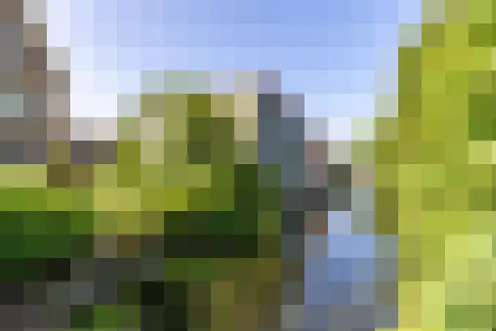 Verlengde Hereweg 7 a Groningen thumbnail 72